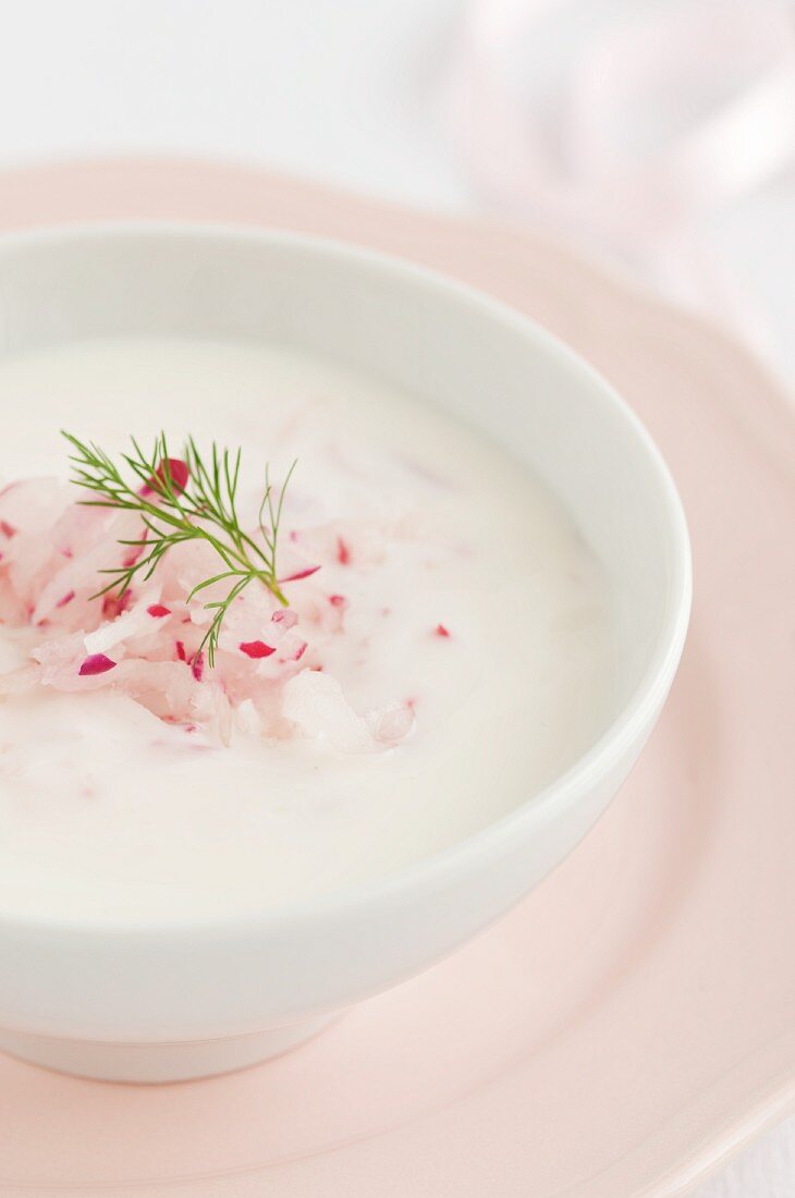 Tarator (cold radish soup from Bulgaria)