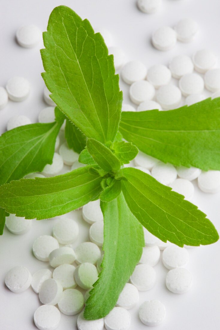 Blätter der Stevia-Pflanze und Stevia-Tabletten