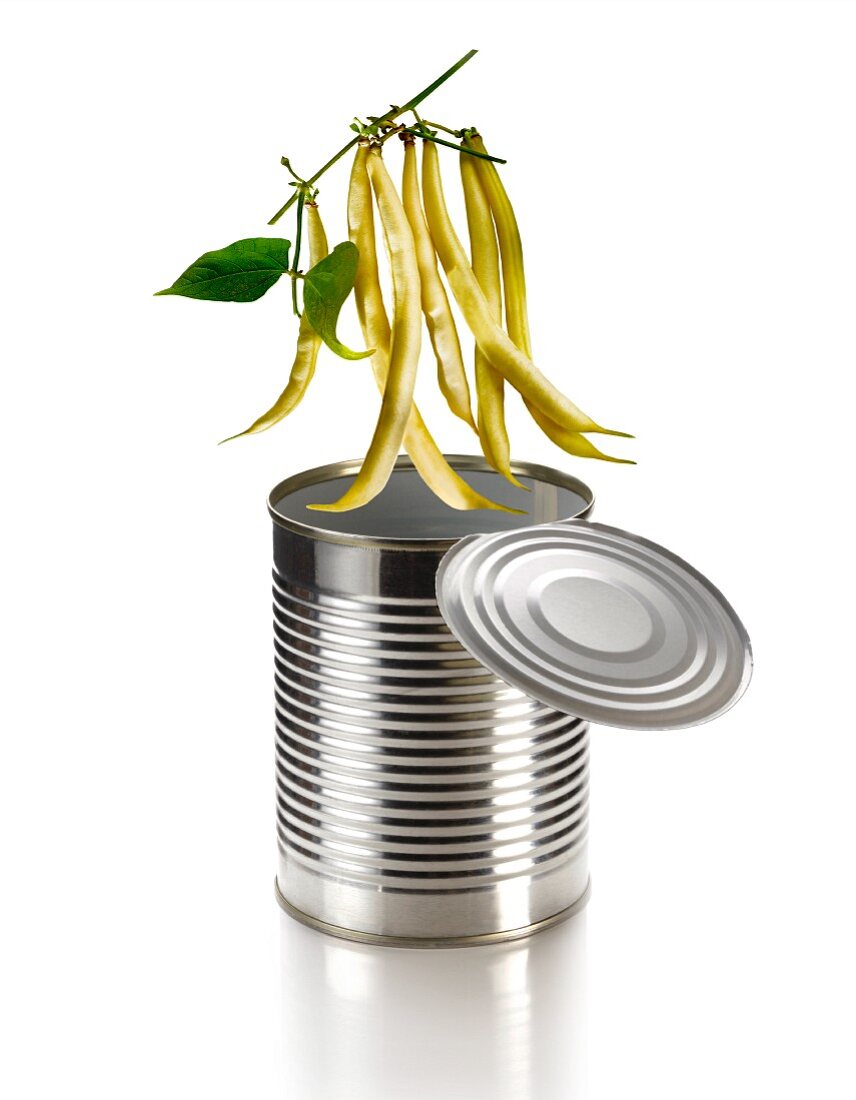 Beans hanging over a tin