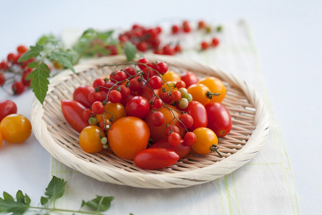 Yellow cocktail tomatoes, plum tomatoes and currant tomatoes on a wicker plate