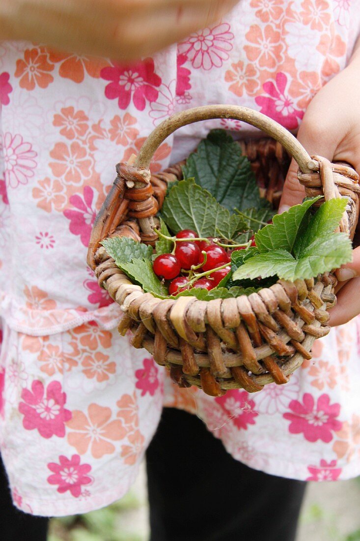 Mädchen hält kleinen Korb mit Johannisbeeren und Blättern