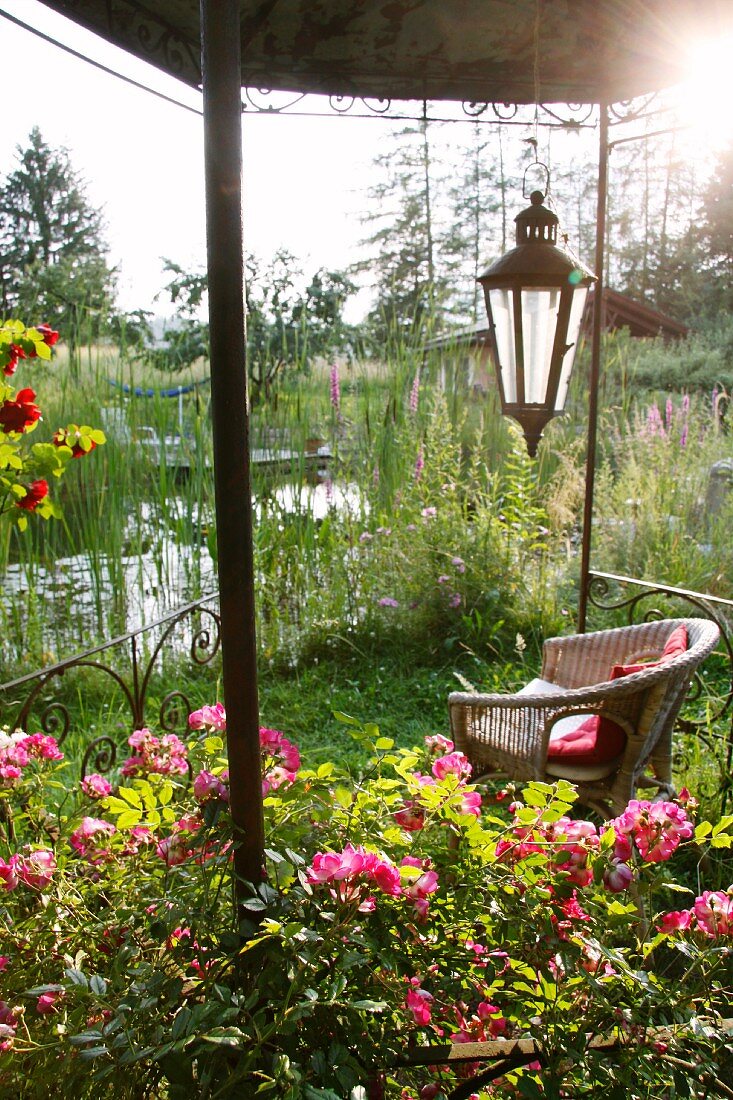 Pavilion with roses, lantern and basket chair next to garden pond