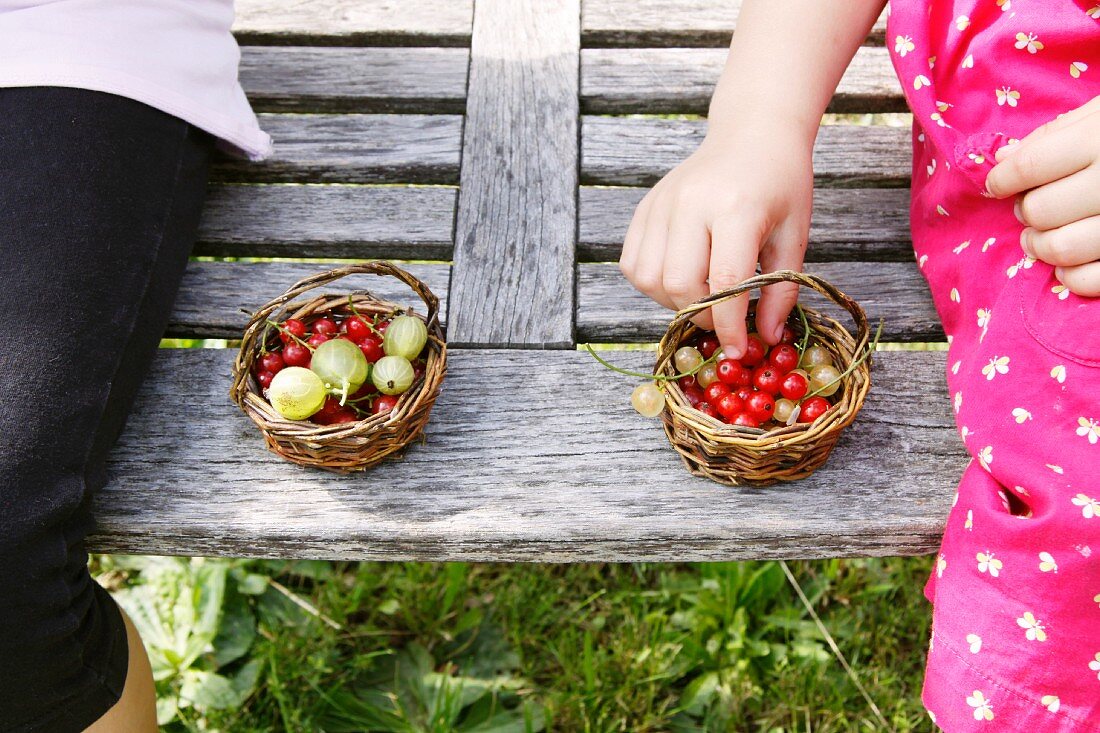Children sitting on a garden bench eating berries