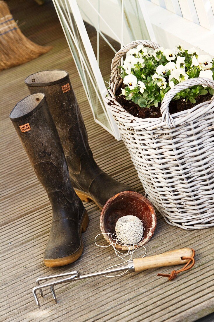 Violas planted in wicker basket and wellington boots on wooden terrace