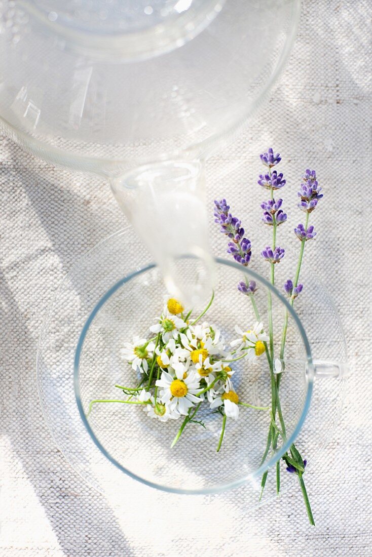 Camomile and lavender
