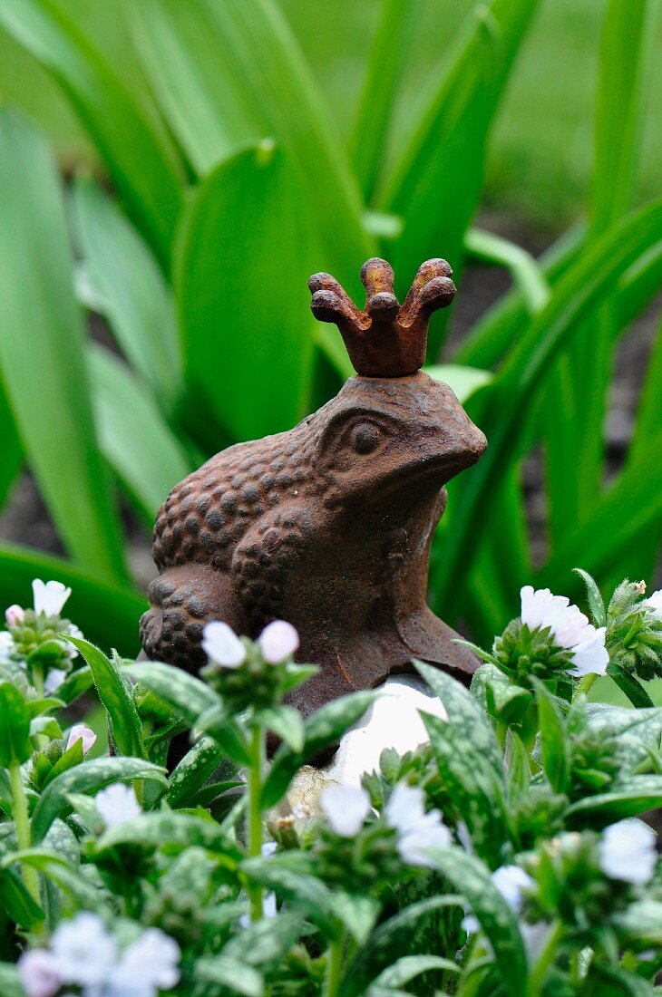 Decorative frog figurine between pulmonaria and allium leaves