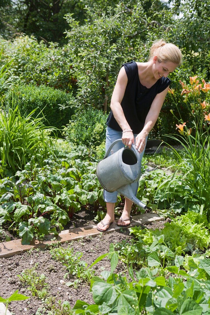 Frau giesst Salatpflanzen im Gemüsebeet