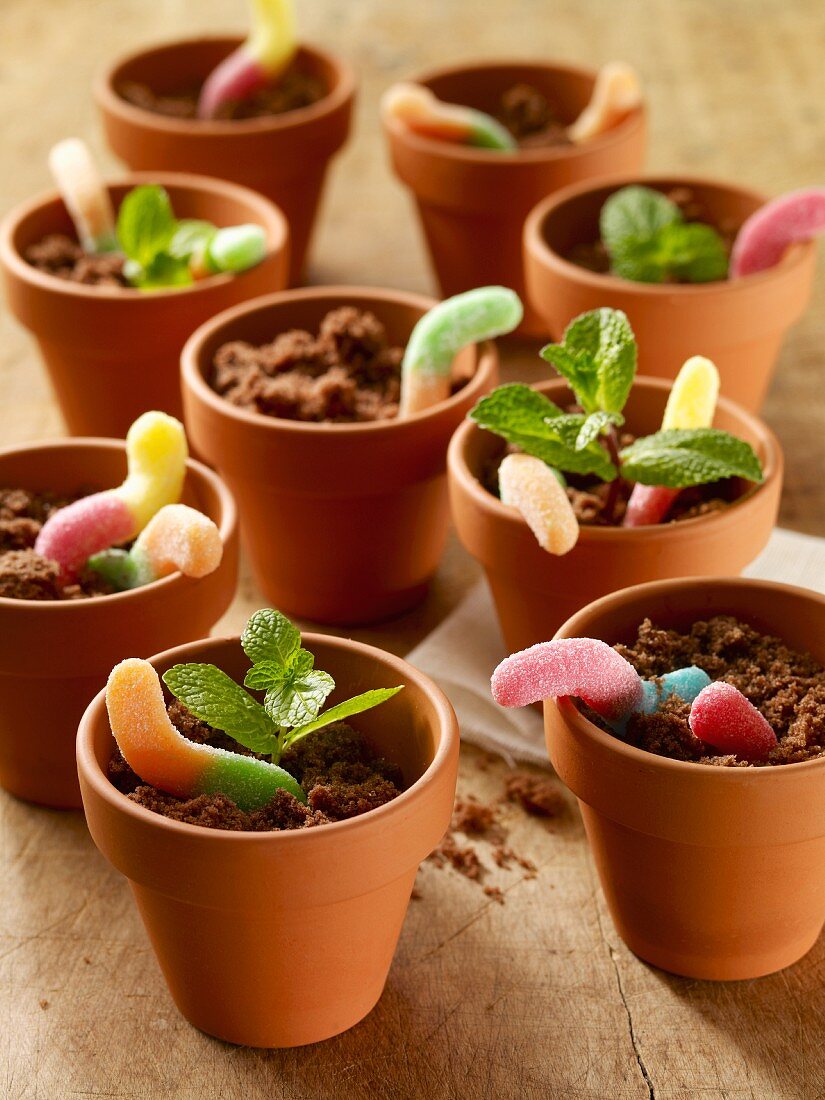 Chocolate cake with gummi worms in flower pots