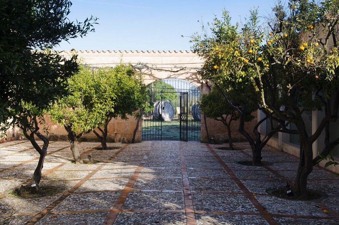 Grand garden complex with orange trees