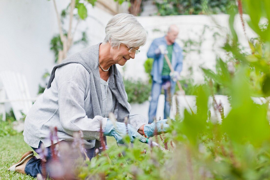 Older couple gardening