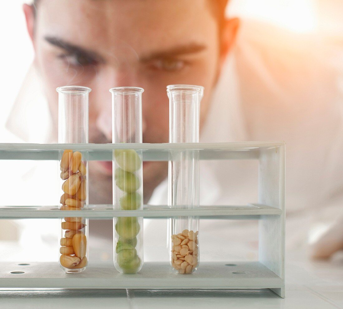 A scientist checking seeds in test tubes