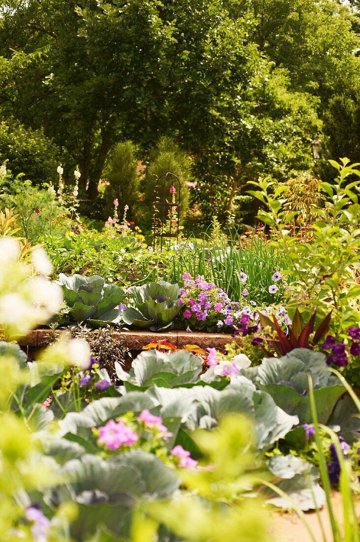 Urban Vegetable Garden in Raised Beds