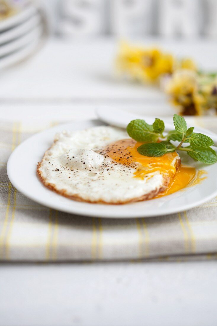 A fried egg on a plate
