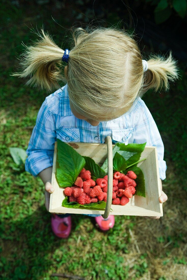 Kleines Mädchen hält einen Korb Himbeeren