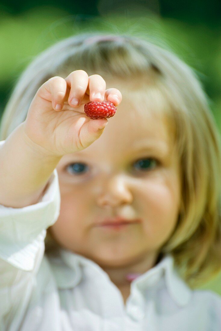 Little girl holding out raspberry