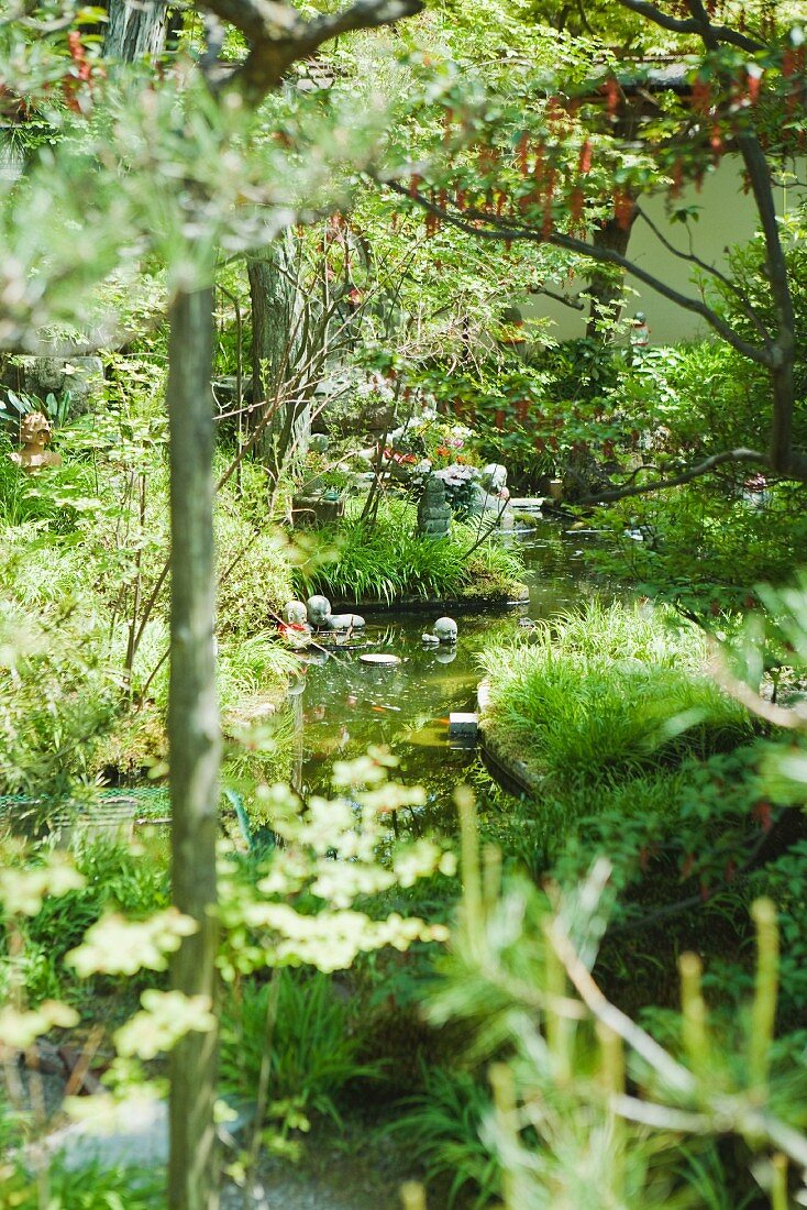 Stream in Japanese garden