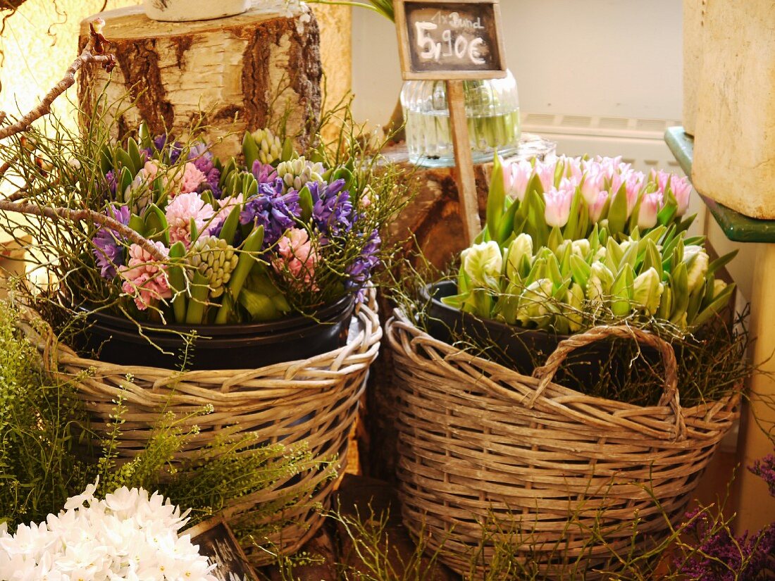 Baskets of spring flowers on sale in florist shop