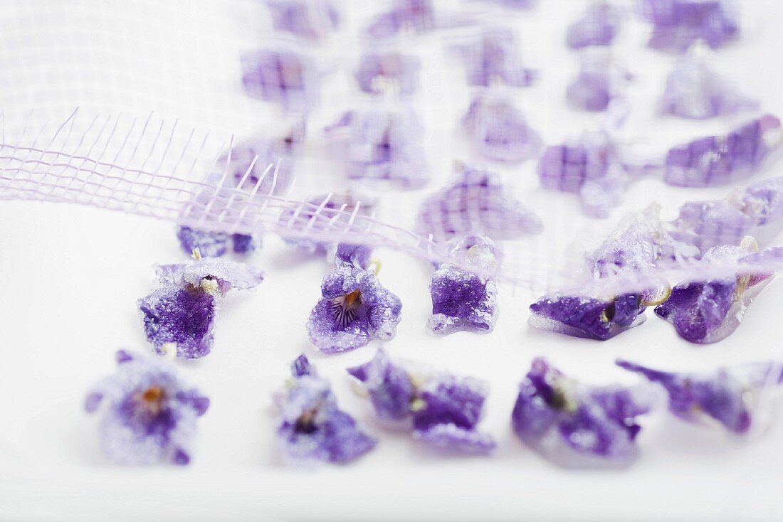 Sugared violets being dried