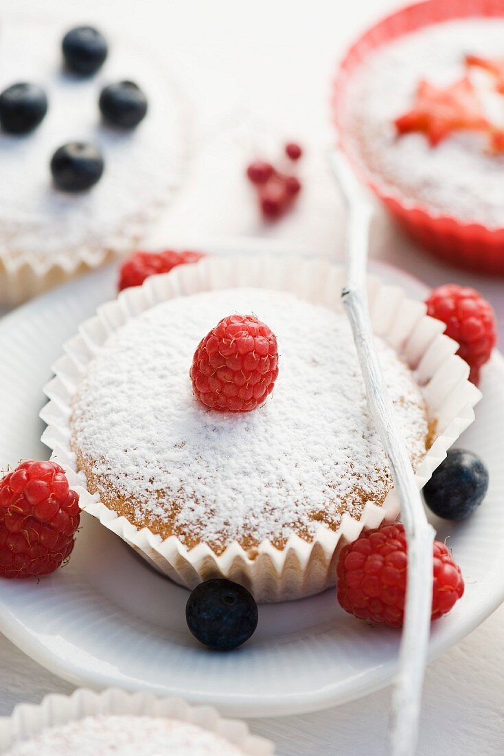 Bizcocho (süsses Gebäck aus Spanien) mit Puderzucker und Beeren