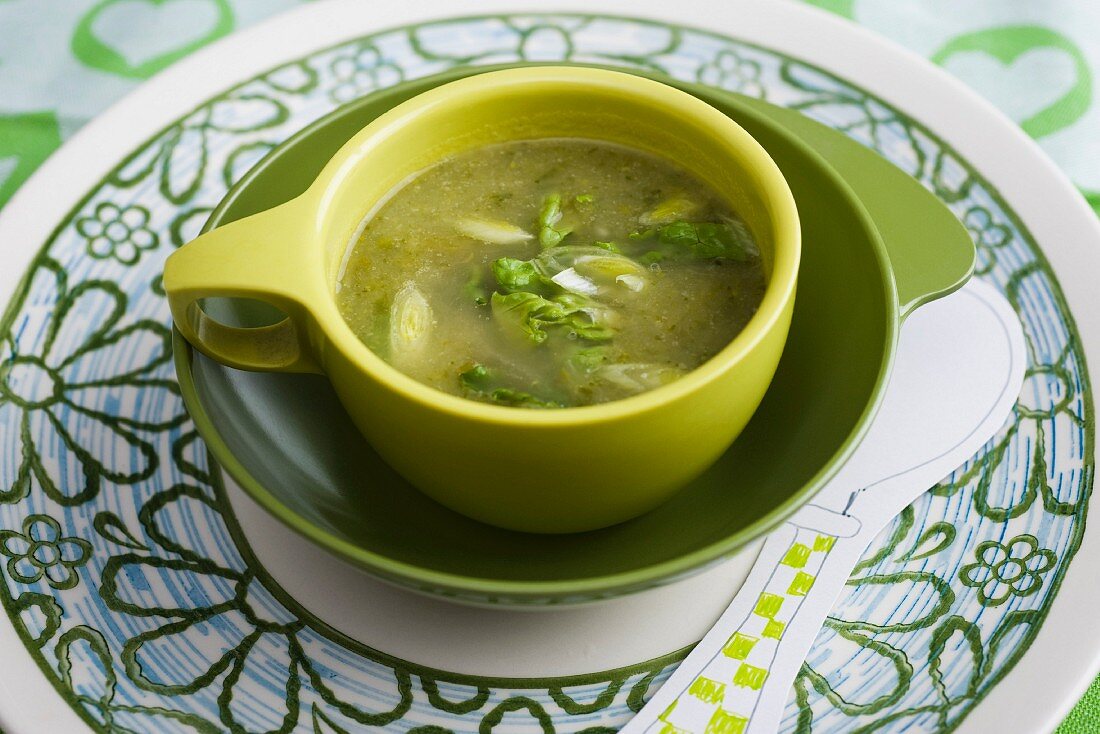 Lettuce soup with spring onions