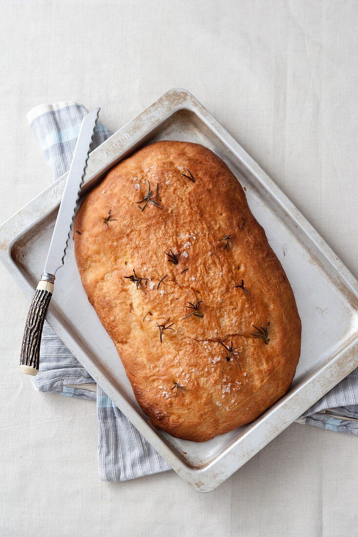 Focaccia al rosmarino (rosemary focaccia, Italy)