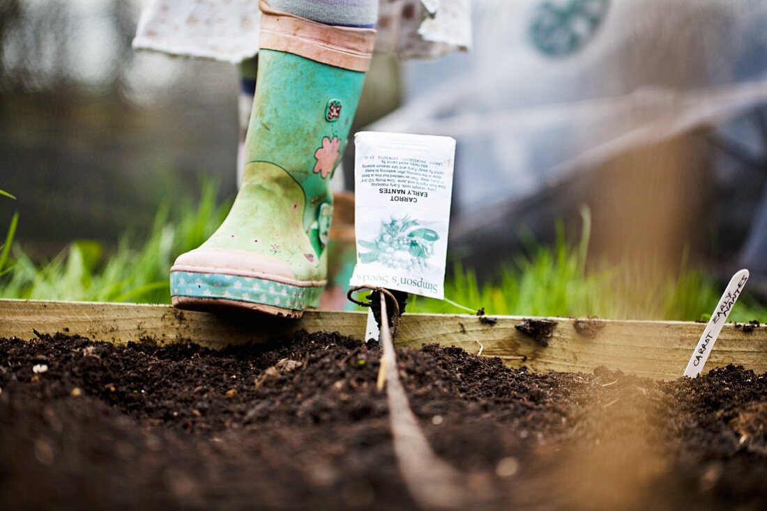 A hotbed with a seed package as a label and a child's Wellington boot