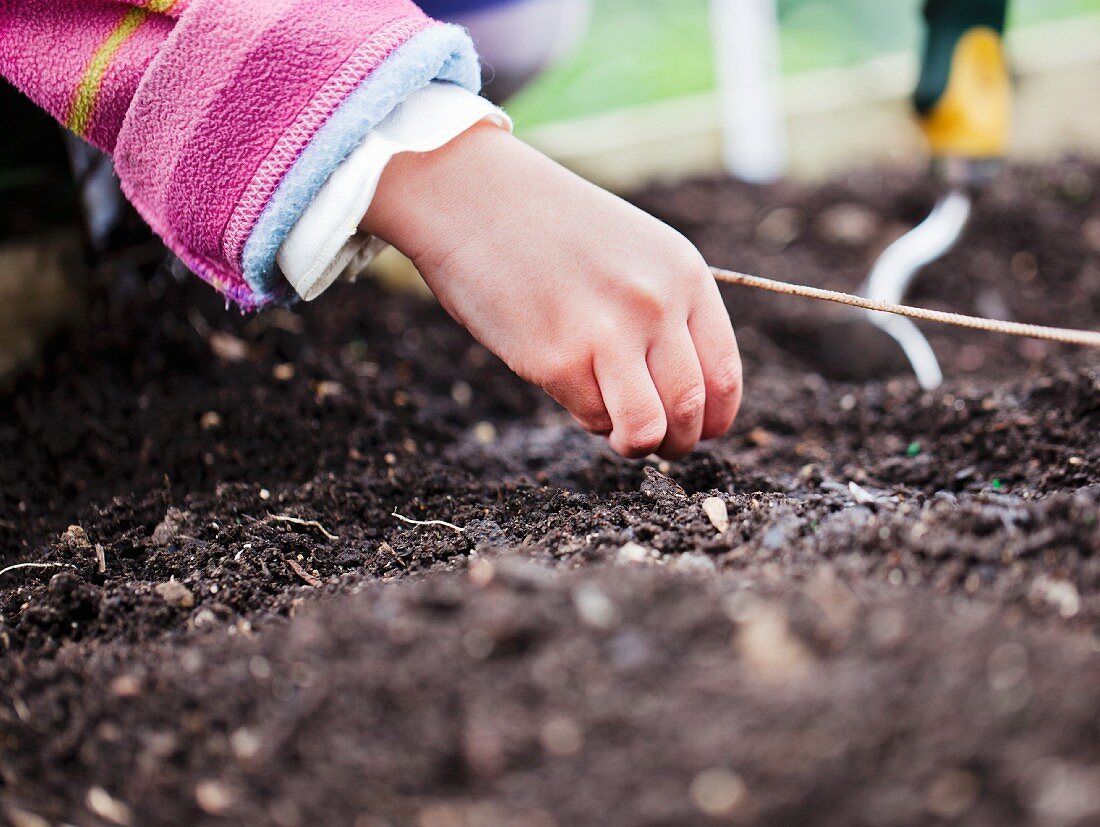 Kinderhand setzt Pflanzensamen in die Erde