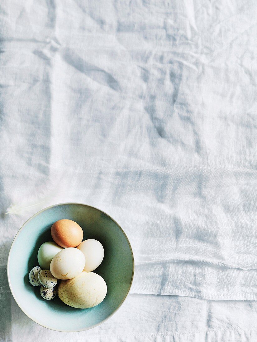 Assorted eggs in a bowl on a tablecloth