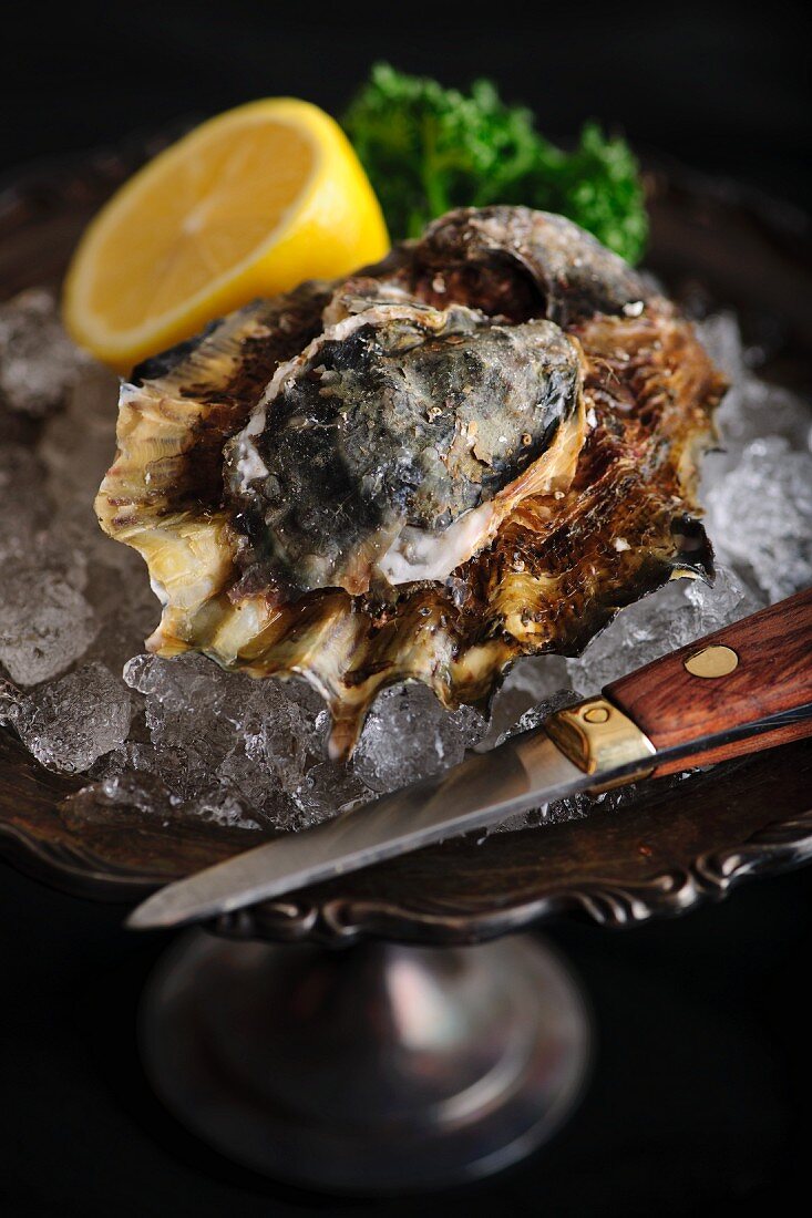 An oyster with a knife on ice