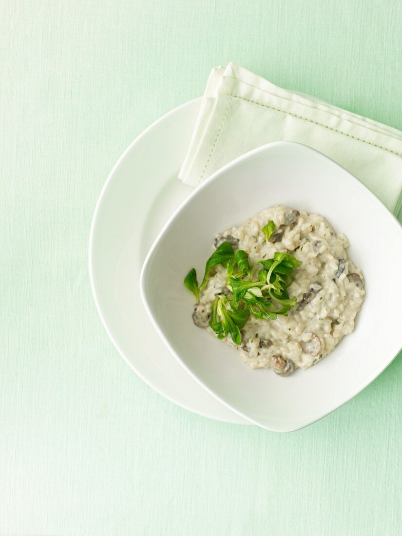 Pilzrisotto (Aufsicht)