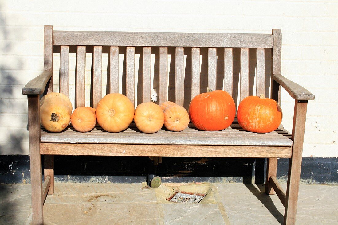 Various pumpkins on a wooden bench in the open air