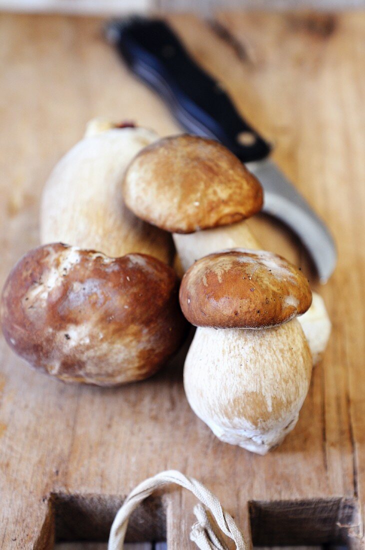 Fresh porcini mushrooms with a knife on a wooden board