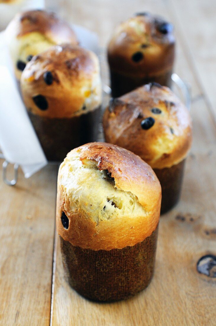 Mini-Panettone (Kleine Hefekuchen, Italien)