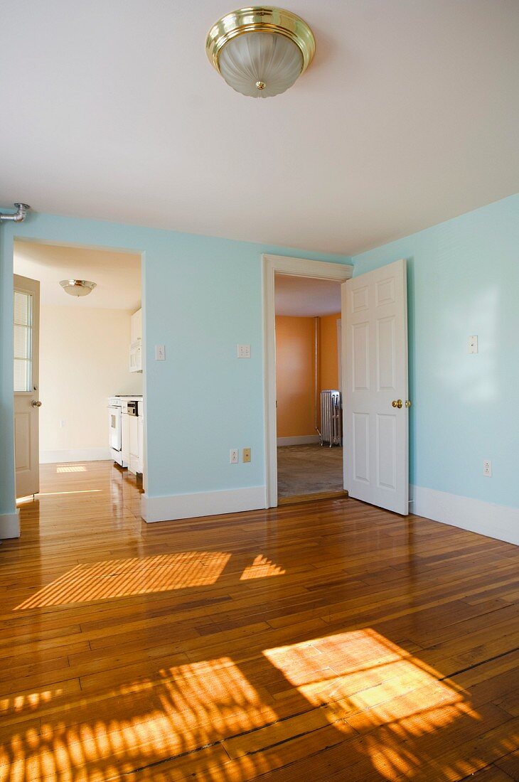 Empty room in apartment with hardwood floor