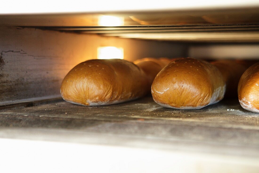 Bread in an oven