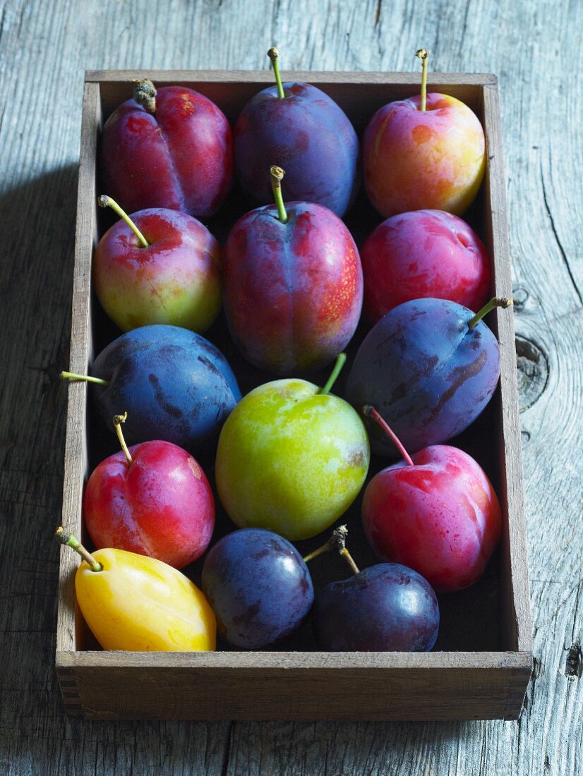 Various plums in a wooden box