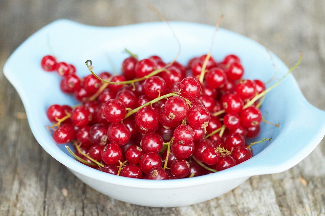 Rote Johannisbeeren in einer Schale