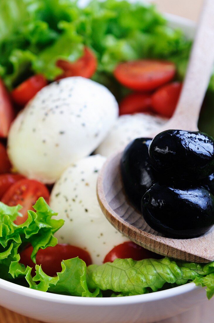 Mozzarella with tomatoes, lettuce and olives