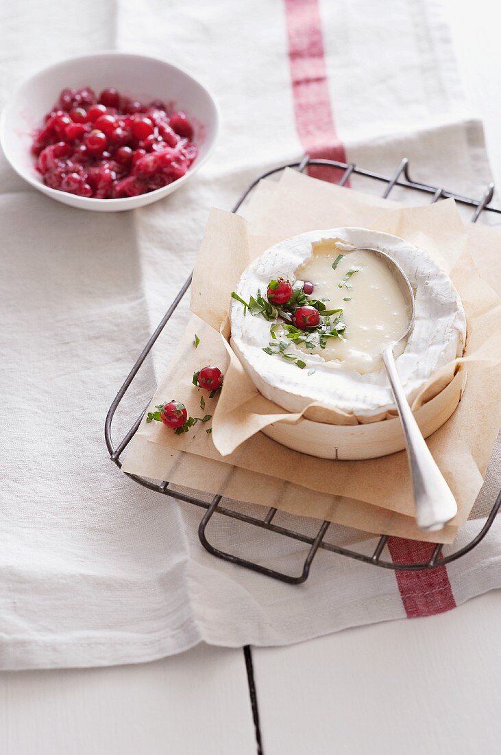 Grilled Camembert with red cabbage and redcurrants