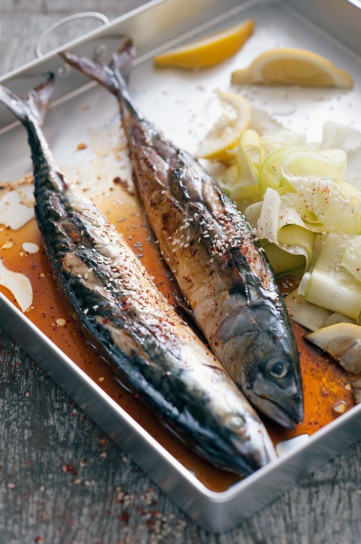 Grilled mackerel with vegetables