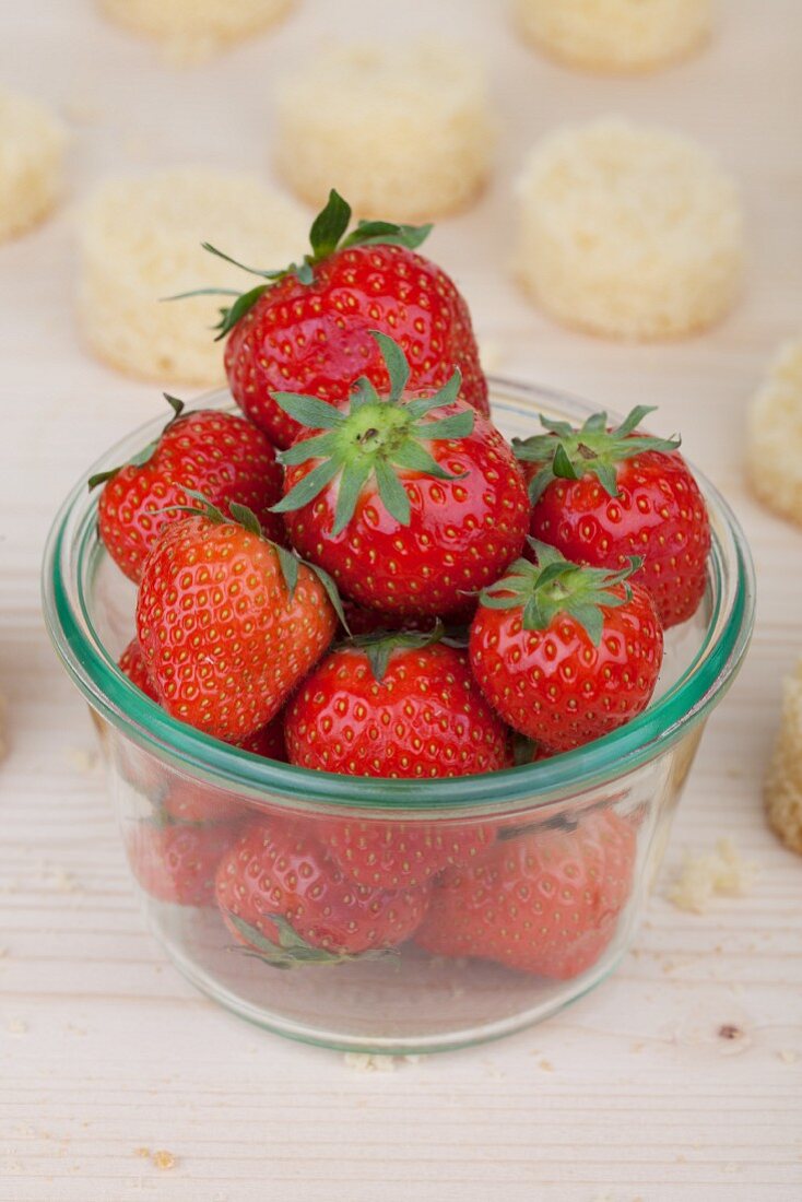 Frische Erdbeeren und runde Kuchenscheiben (Zutaten für Push Up Cake Pops)