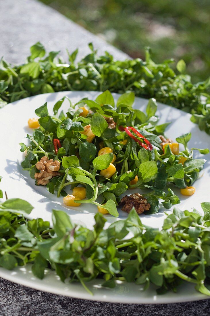 Salat mit Sternmiere (Stellaria media), Mais und Nüssen