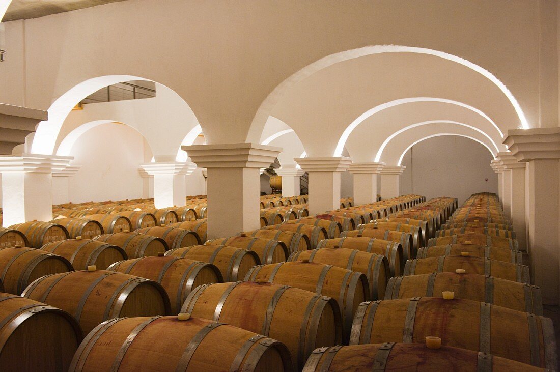 Malhadinha Nova winery (Portugal)