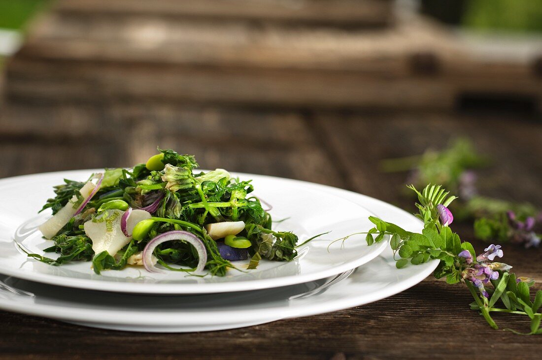 Wickensalat mit frischen Saubohnen und Topinambur