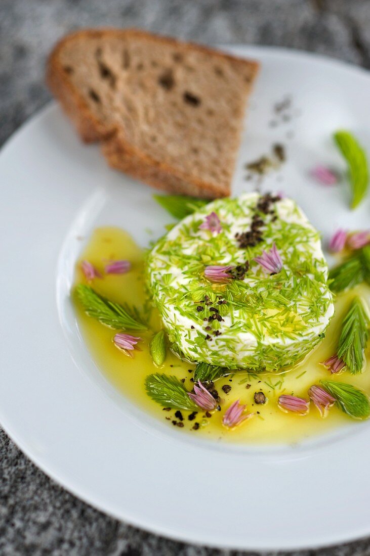 Robiola Frischkäse, paniert mit Tannensprossen