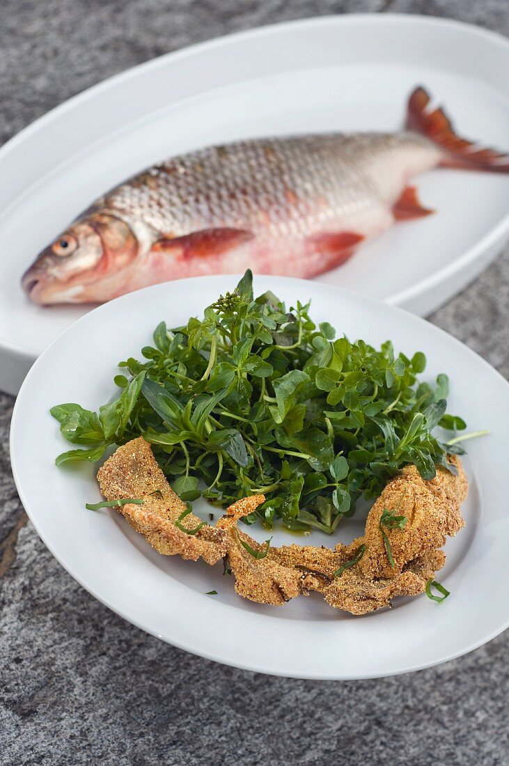 Wasserkräutersalat mit frittiertem Fisch