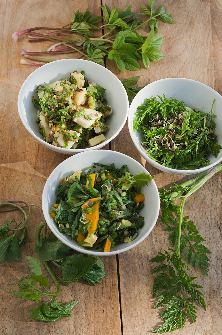 Garlic mustard with pumpkin and lentil sprouts, potato salad with ground elder, lentil sprots with field chervil