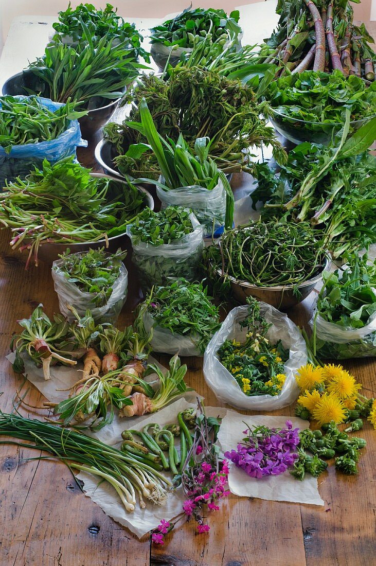 Various types of fresh, wild herbs