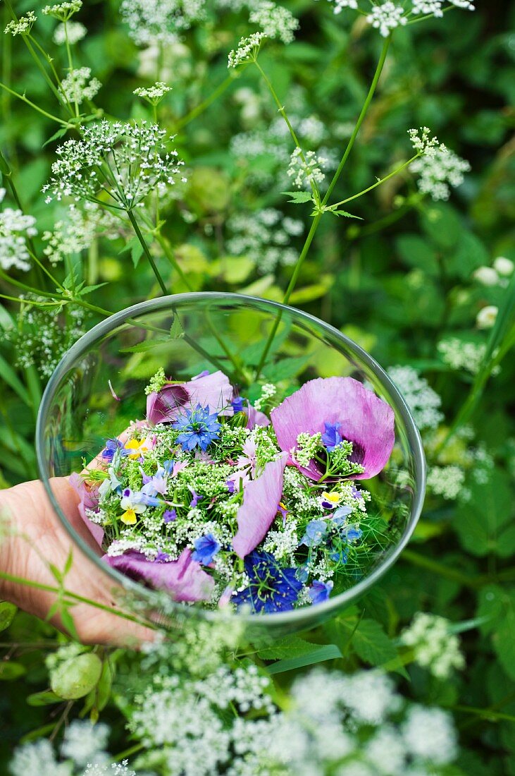 Hochzeitssalat mit Essblüten und Gierschblütendolden