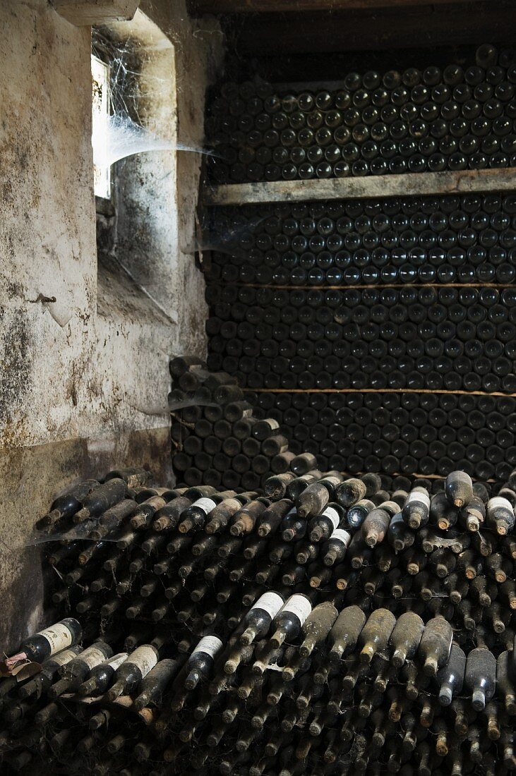 Bottles maturing in the cellar of Fattoria Selvapiana